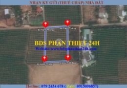 ĐẤT SÀO HÀM THẮNG THÍCH HỢP LÀM NHÀ VƯỜN ( THUỘC PHAN THIẾT MỞ RỘNG).