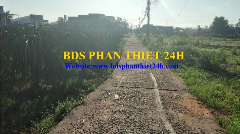 ĐẤT GIÁP PHAN THIẾT GIÁ CHỈ 5.75 TRIỆU/M2 (GIÁ SẬP SÀN) 6