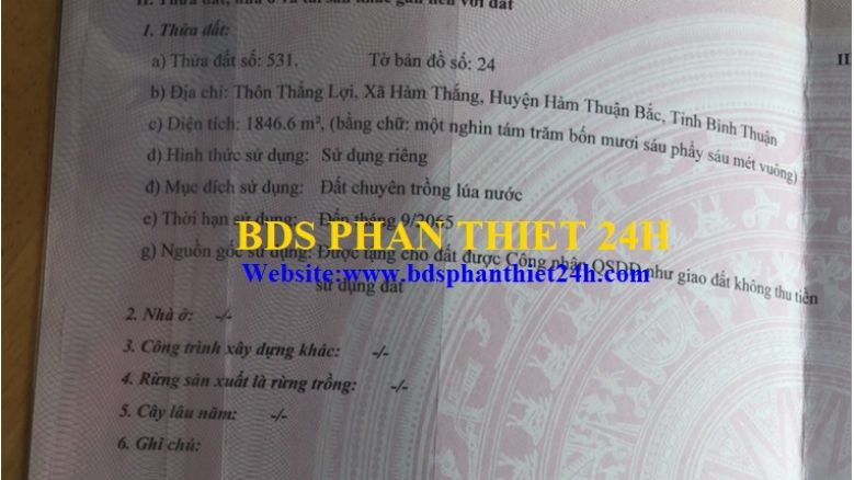 ĐẤT SÀO HÀM THẮNG THÍCH HỢP LÀM NHÀ VƯỜN ( THUỘC PHAN THIẾT MỞ RỘNG). 4