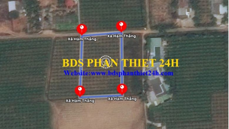 ĐẤT SÀO HÀM THẮNG THÍCH HỢP LÀM NHÀ VƯỜN ( THUỘC PHAN THIẾT MỞ RỘNG).