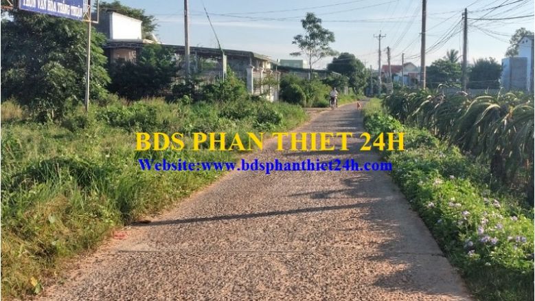 ĐẤT GIÁP PHAN THIẾT GIÁ CHỈ 5.75 TRIỆU/M2 (GIÁ SẬP SÀN) 2