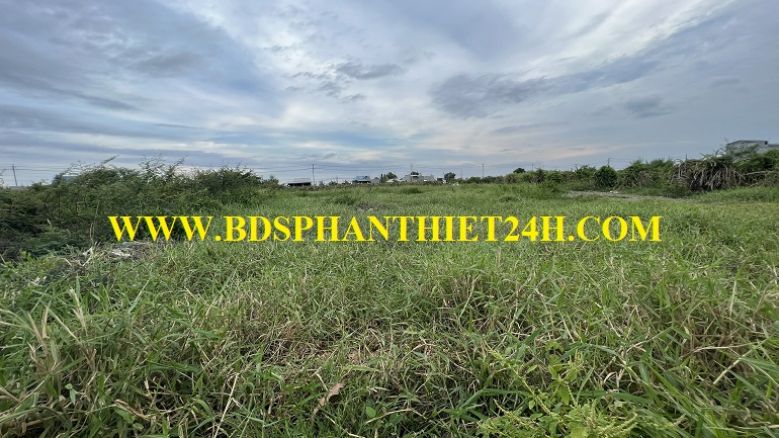 1424M2 CLN KHU CÁ ĐỒNG - ĐƯỜNG BÊ TÔNG OTO GIÁP TP.PHAN THIẾT- GIÁ CHỈ 1.5TR/M2. 2